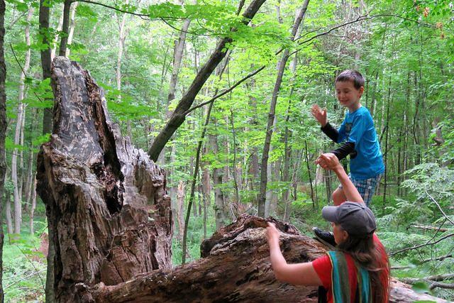 A Little Help From Mommy