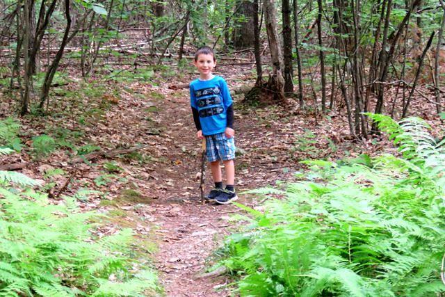 Thomas Amid the Ferns