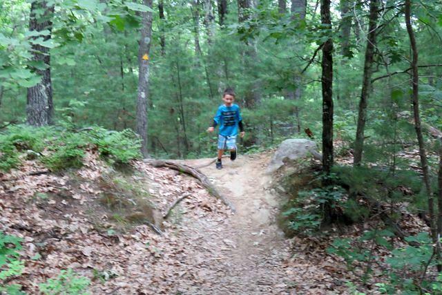 Racing Down the Hill