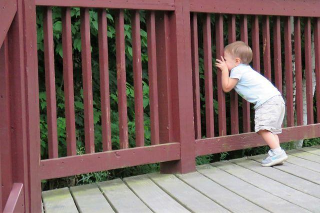 What Do You See Evie Lee?