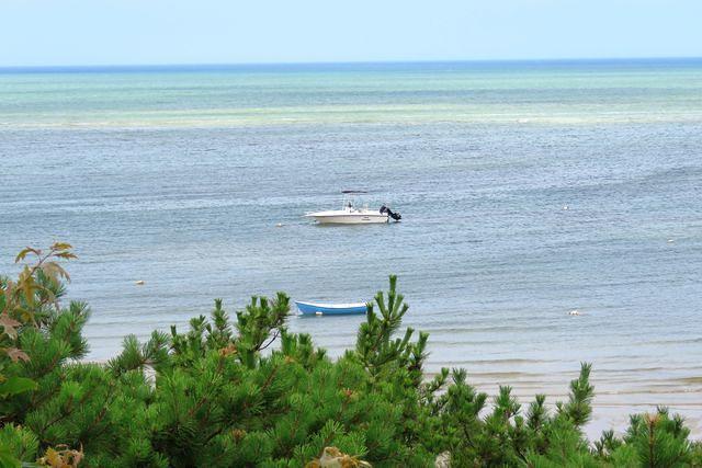 so Many Shades of Blue