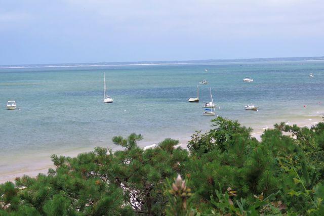 Bobbing Sailboats in the Bay