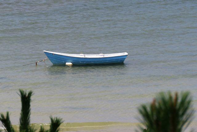 Blue Boat Afloat