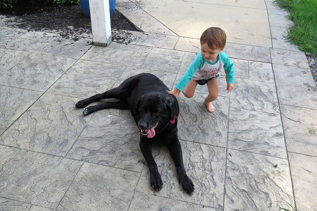 Quick Pat as She Runs By