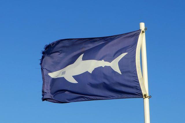 Shark Warning