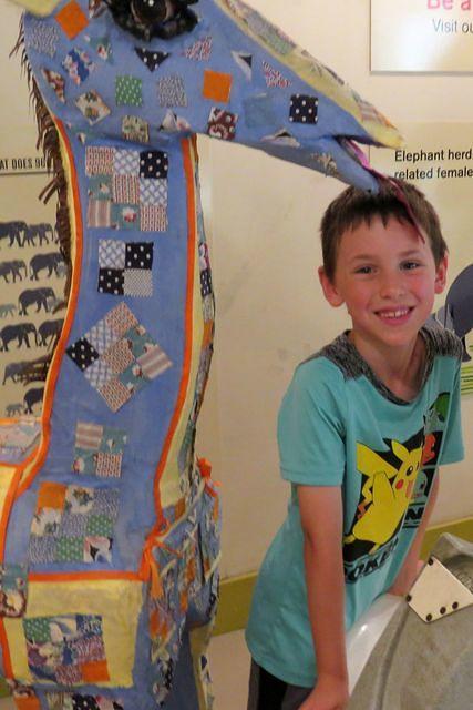 Giraffe and Elephant Education