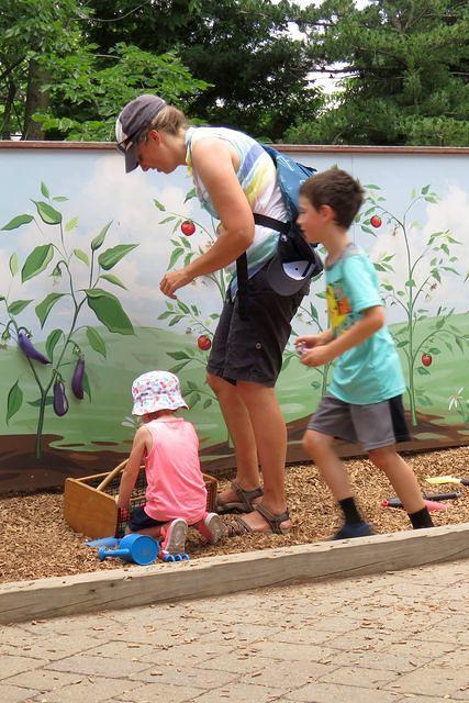 Figuring Out Where the Veggies Go