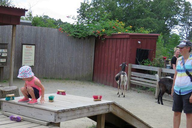 Picking out Just the Right Brush