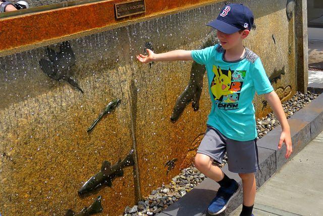 Skipping Along the Water Feature