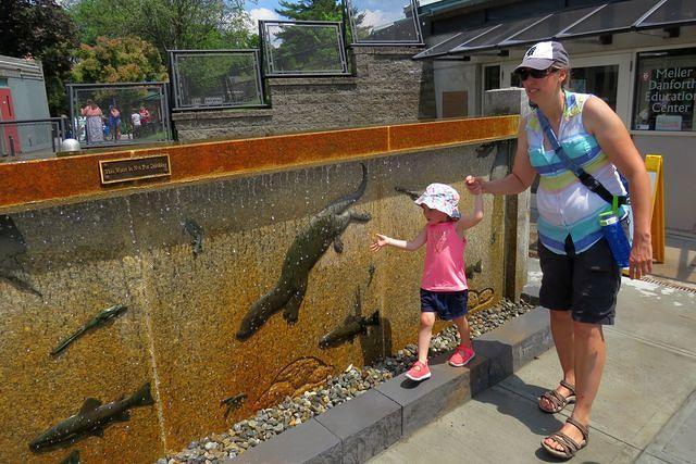 Balance Beaming With Mommy