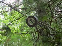 Uhoh, should have used a hatchet!