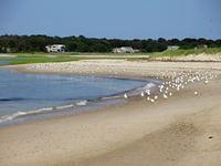 Crosby Landing Cape Cod Bay 1