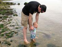 Checking out the water