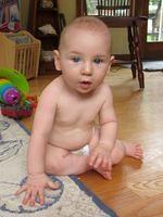 Cutie pie checking out the sunroom 1