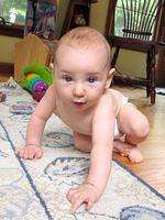 Cutie pie checking out the sunroom 2