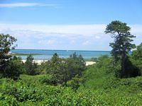 Cape Cod Bay behind CCMNH