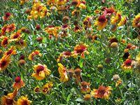 Parking Garage Roof 3