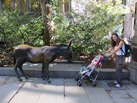 Democratic Donkey with Thomas and Beth