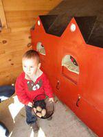 Collecting eggs in the zoo farmyard
