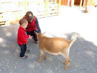 Beth introducing Thomas to Ginger