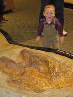 This Footprint is Huge