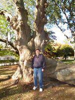 Dave with knobby tree