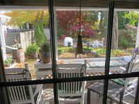 View from the window