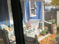 Indie Rose (Inn dog) napping in the sun