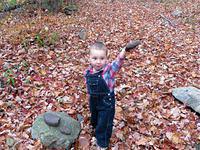 This looks like a good rock to add.