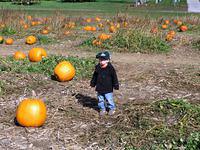 So many options........