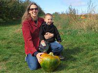 Considering apple shaped pumpkin