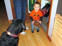 Time to feed Loki again!