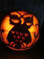 Meghan's in the dark