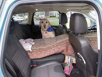 Dusty found her spot