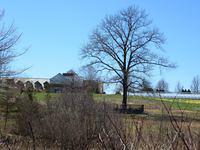 Tower Hill April, 2014