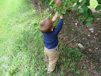 Getting the hang of it