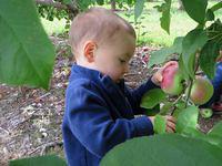 Deciding which one to pick