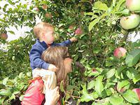 Another picking technique