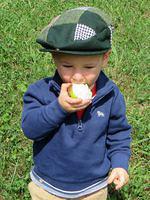 Still working the apple