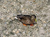 One last look and time to head home