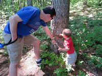 Checking out the beavers' work
