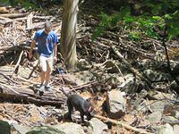 Working their way back