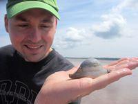 Brian loves a good sea snail