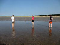 Checking out the flats at low tide