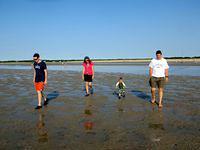 Kind of mucky out here......