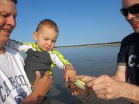 Tentatively touching.....