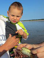 You want me to touch this, really?