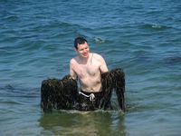 Seaweed Monster
