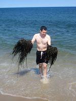 Seaweed monster coming to get us