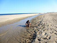 Checking every little thing